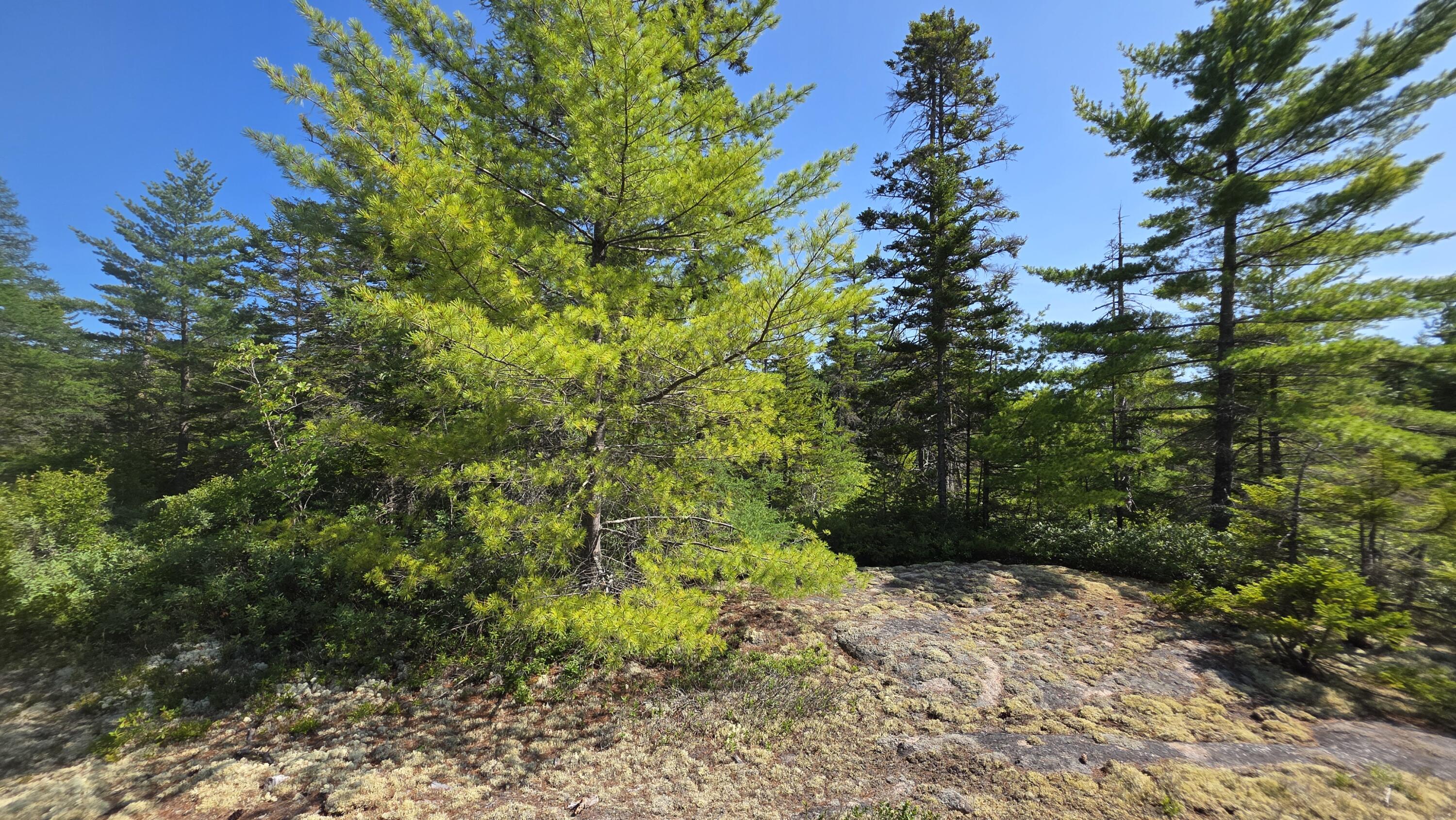 1 Map Road Jonesboro, ME 04648 - Photo 14 of 25 20260728_151453