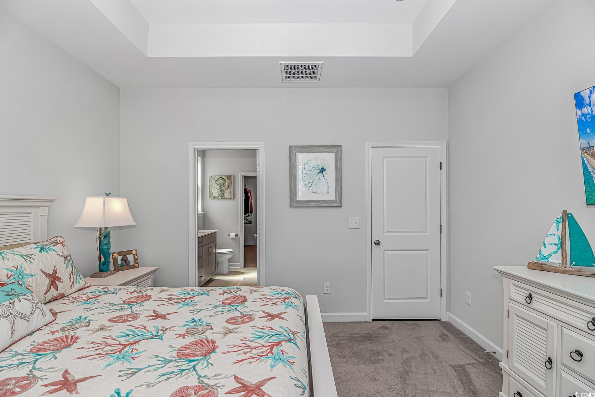 222 Sundew Loop Little River, SC 29566 - Photo 15 of 40 Bedroom with connected bathroom, a tray ceiling, l
