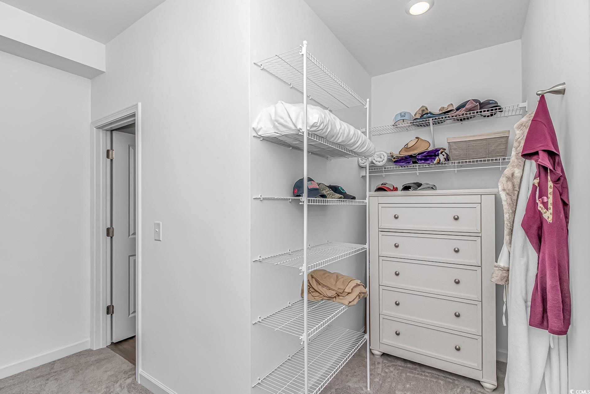 222 Sundew Loop Little River, SC 29566 - Photo 18 of 40 Walk in closet featuring light carpet