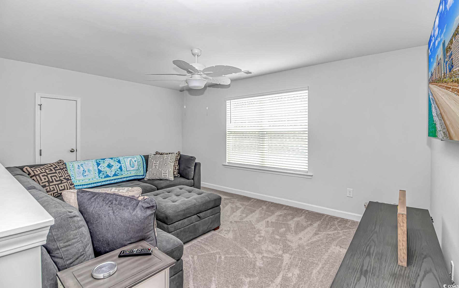 222 Sundew Loop Little River, SC 29566 - Photo 28 of 40 Living room with light carpet, baseboards, and cei