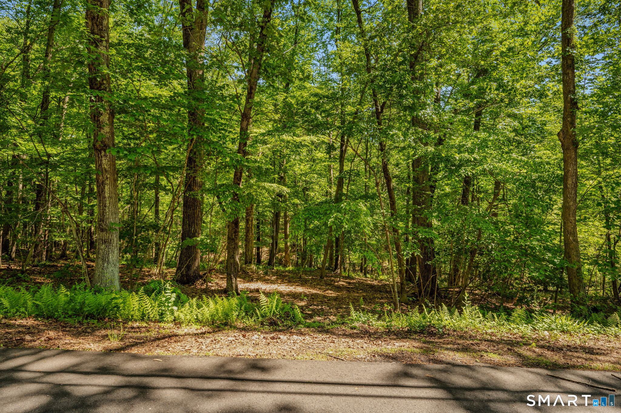 Lot10-b1 Foot Hills Road Higganum, CT 06441 - Photo 3 of 33 a view of a yard