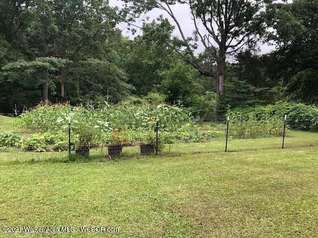 444 Whittemore Road Jasper, AL 35503 - Photo 26 of 27 Gallery Image 26