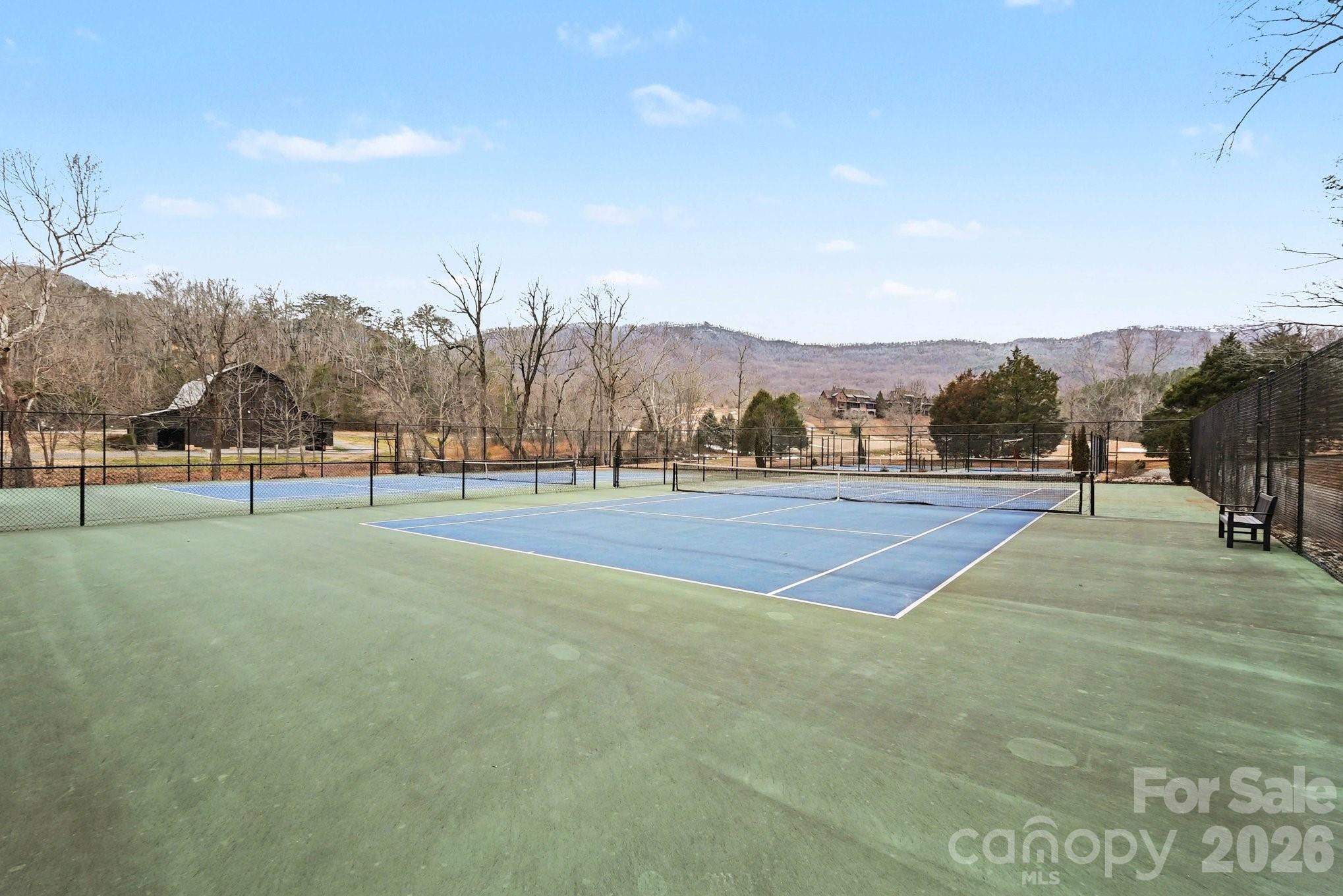 2554 Deep Gap Farm Road East Mill Spring, NC 28756 - Photo 41 of 46