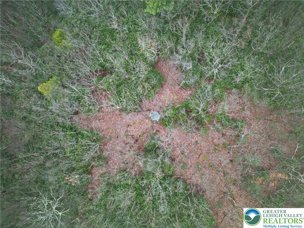 2205 Long Run Road Lehighton, PA 18235 - Photo 3 of 32 a view of a yard with a tree