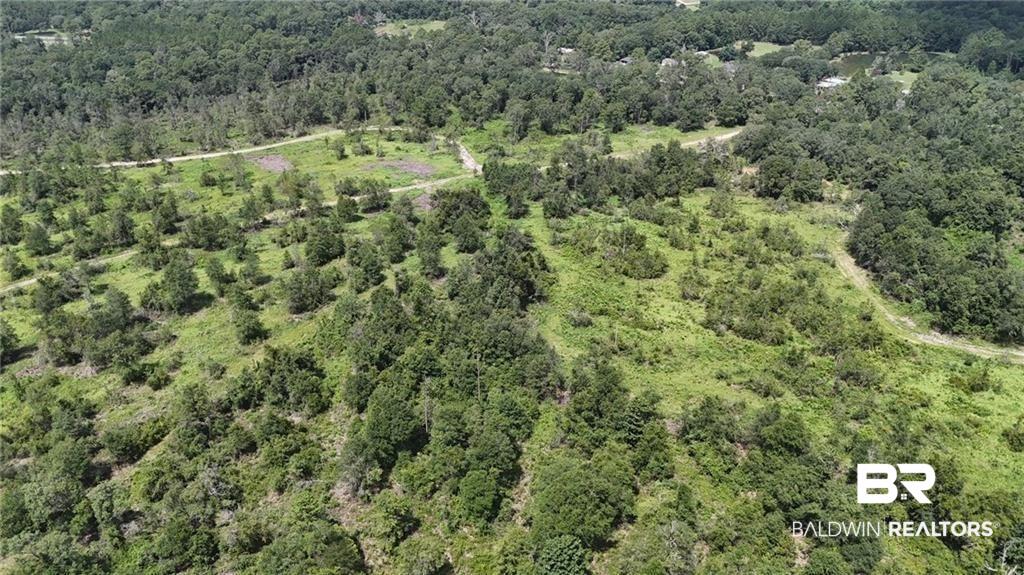 -newman Rd #4 Newman Road Mobile, AL 36695 - Photo 2 of 6 Gallery Image 2