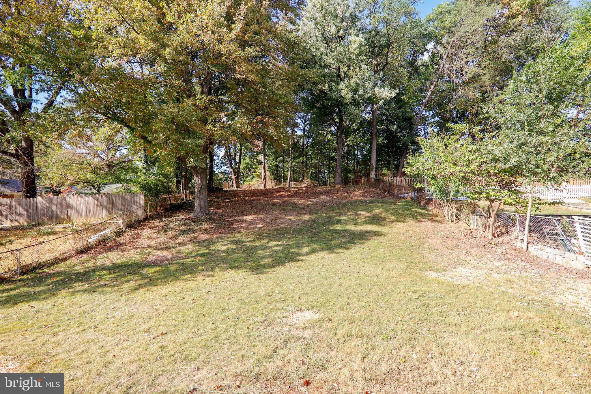 911 Whitehall Street Silver Spring, MD 20901 - Photo 20 of 68 View of back yard