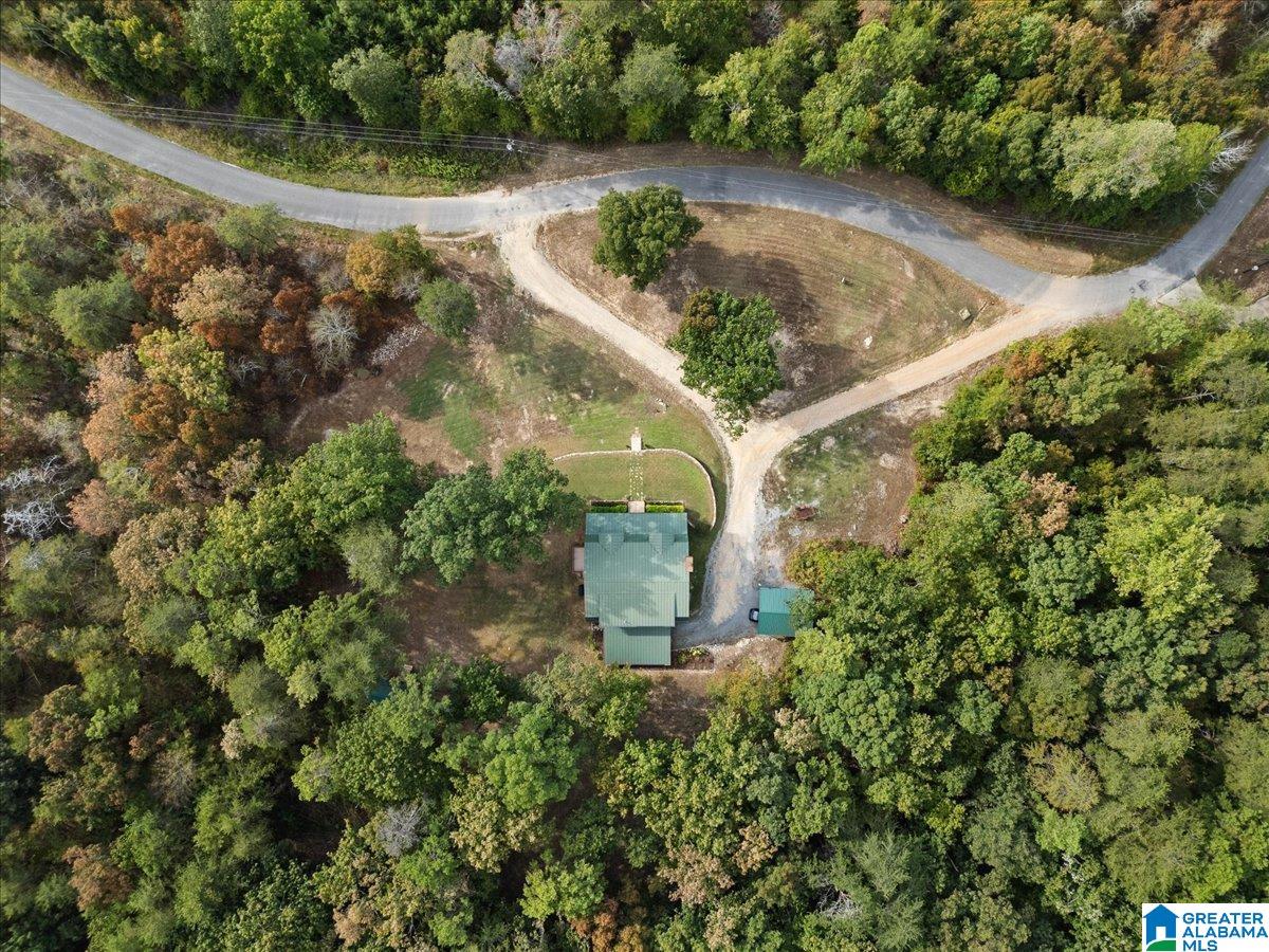 3160 Tim King Road Oneonta, AL 35121 - Photo 36 of 40