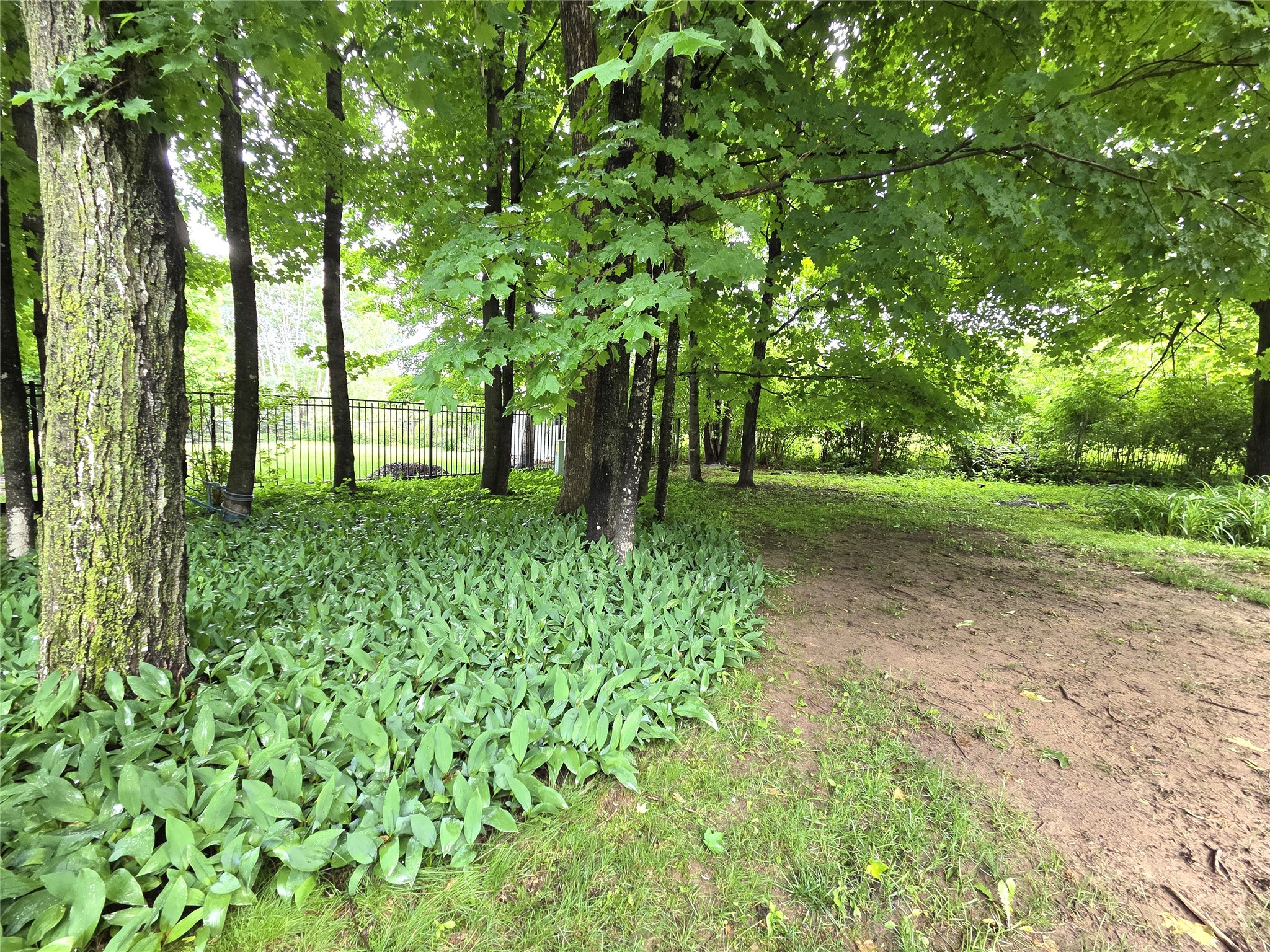 724 Pine Place Rice Lake, WI 54868 - Photo 39 of 44