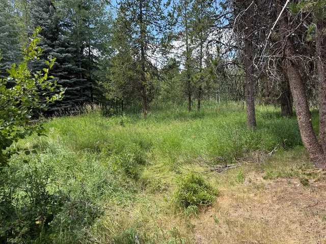 $174,900 | 905 Camas Place, Unit 10, McCall, ID 83638