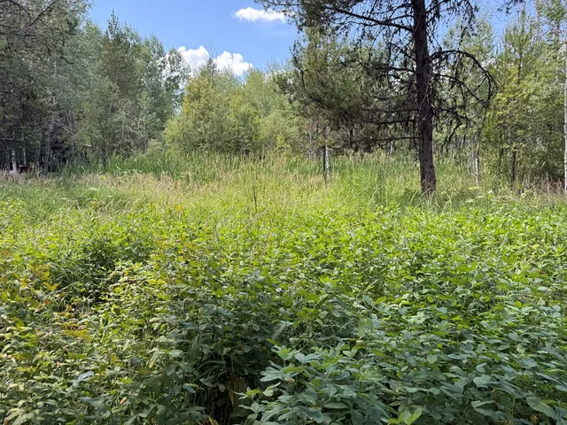 $174,900 | 905 Camas Place, Unit 10, McCall, ID 83638