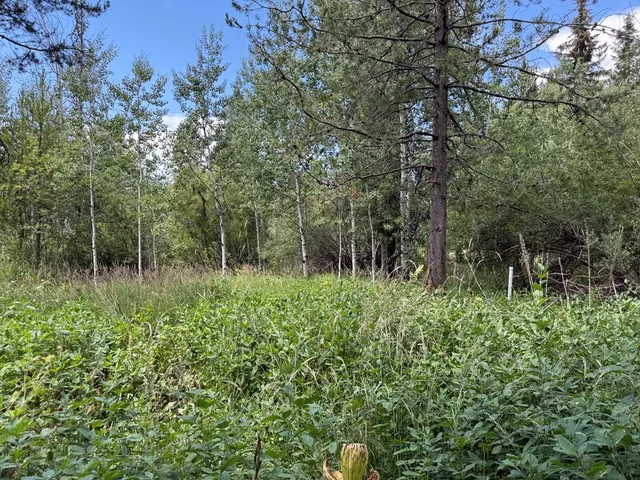 $174,900 | 905 Camas Place, Unit 10, McCall, ID 83638