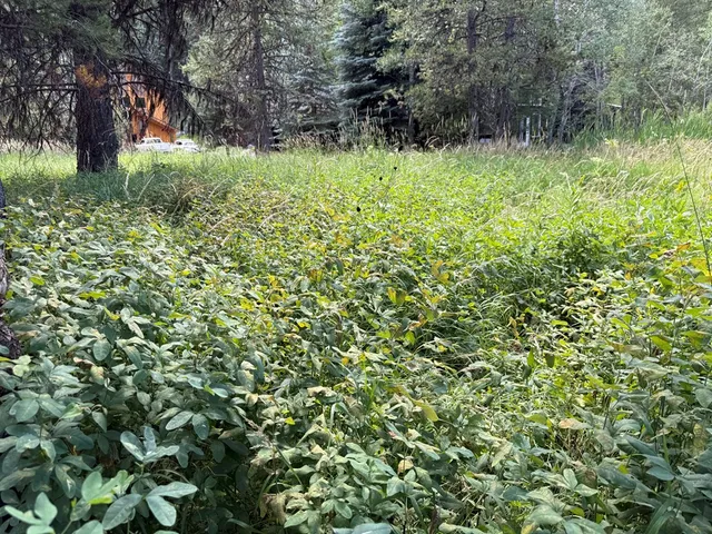 $174,900 | 905 Camas Place, Unit 10, McCall, ID 83638