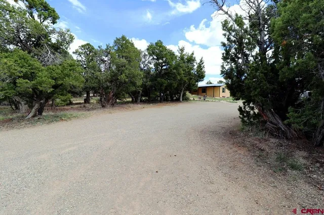 a view of a dirt road with trees in the background