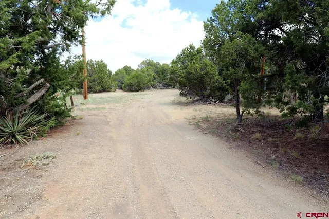 a view of outdoor space with trees