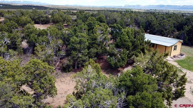 a view of a yard with trees