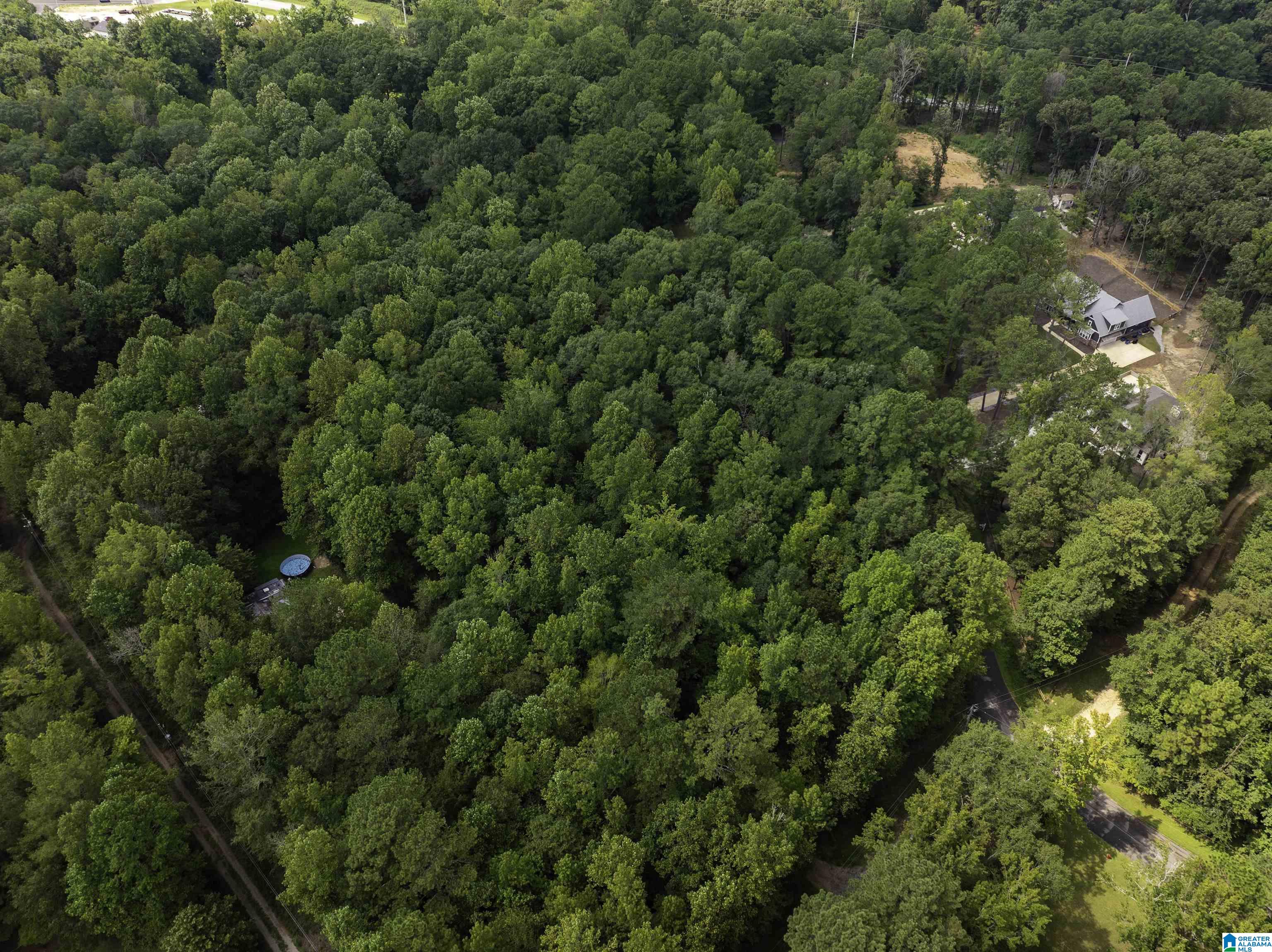 92 Hodgens Road Chelsea, AL 35043 - Photo 35 of 41