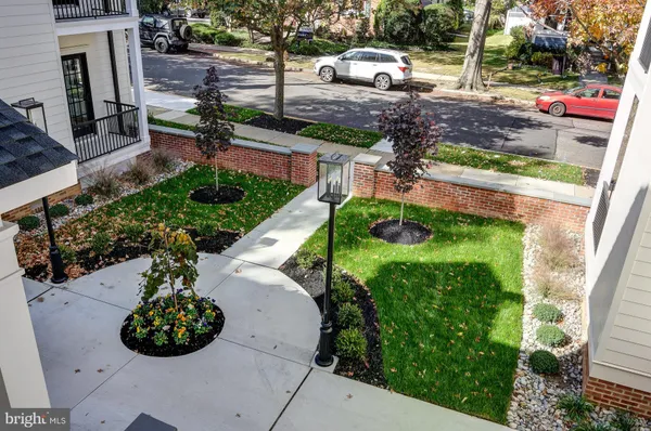 a view of a garden with plants and large trees