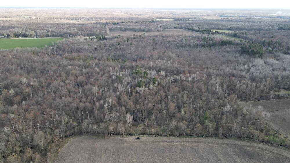 Vl Vl Estey Road Rhodes, MI 48652 - Photo 13 of 83 DJI_0886