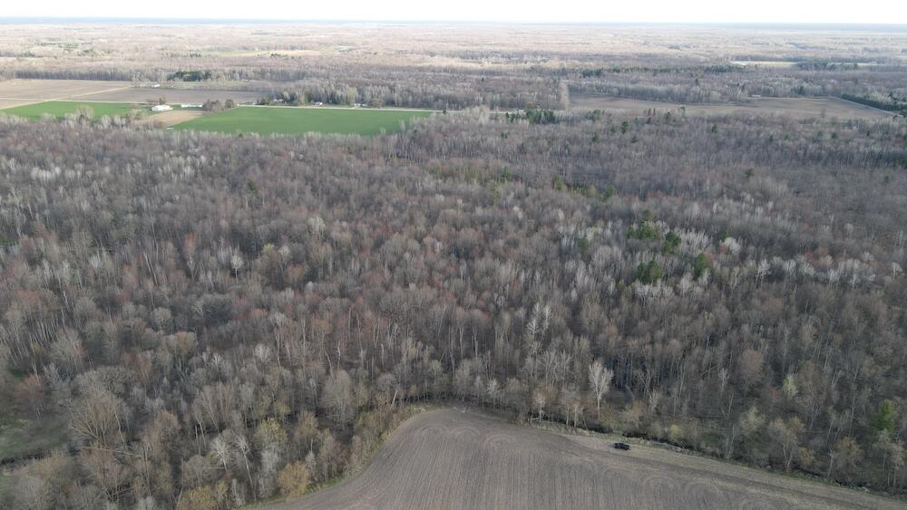 Vl Vl Estey Road Rhodes, MI 48652 - Photo 14 of 83 DJI_0887