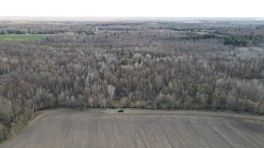Vl Vl Estey Road Rhodes, MI 48652 - Photo 15 of 83 DJI_0888