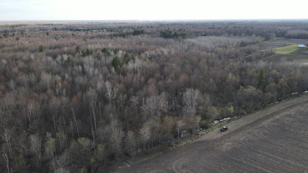 Vl Vl Estey Road Rhodes, MI 48652 - Photo 4 of 83 DJI_0885