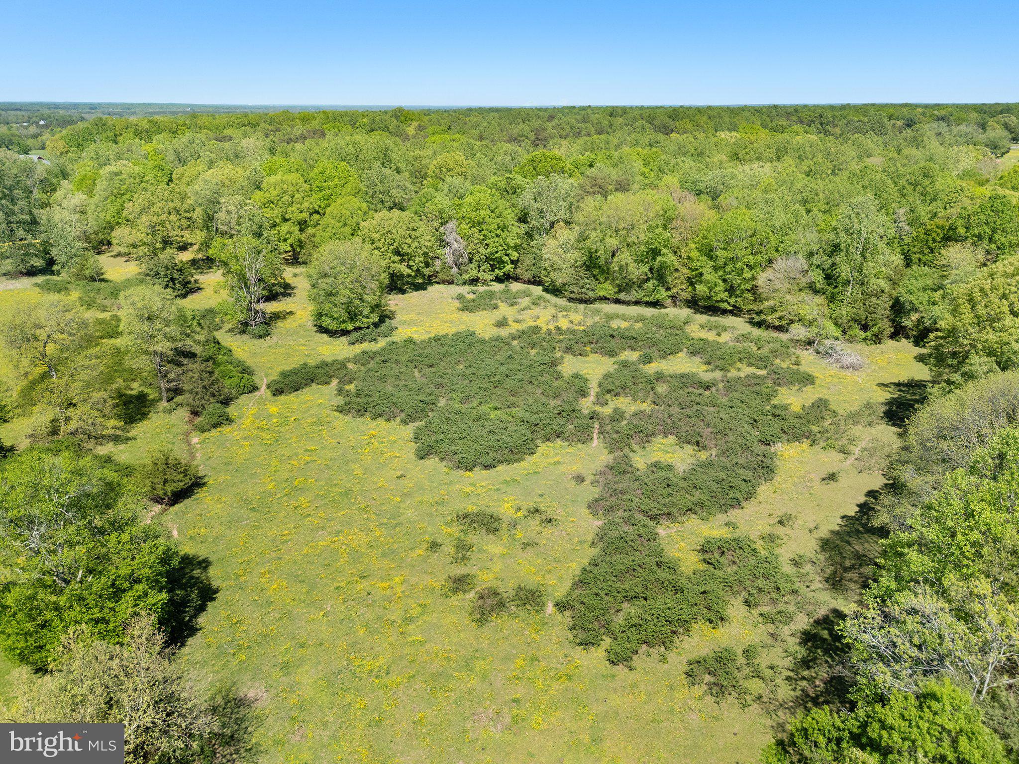 0 Elk Run Road Midland, VA 22728 - Photo 12 of 22 Gallery Image 12
