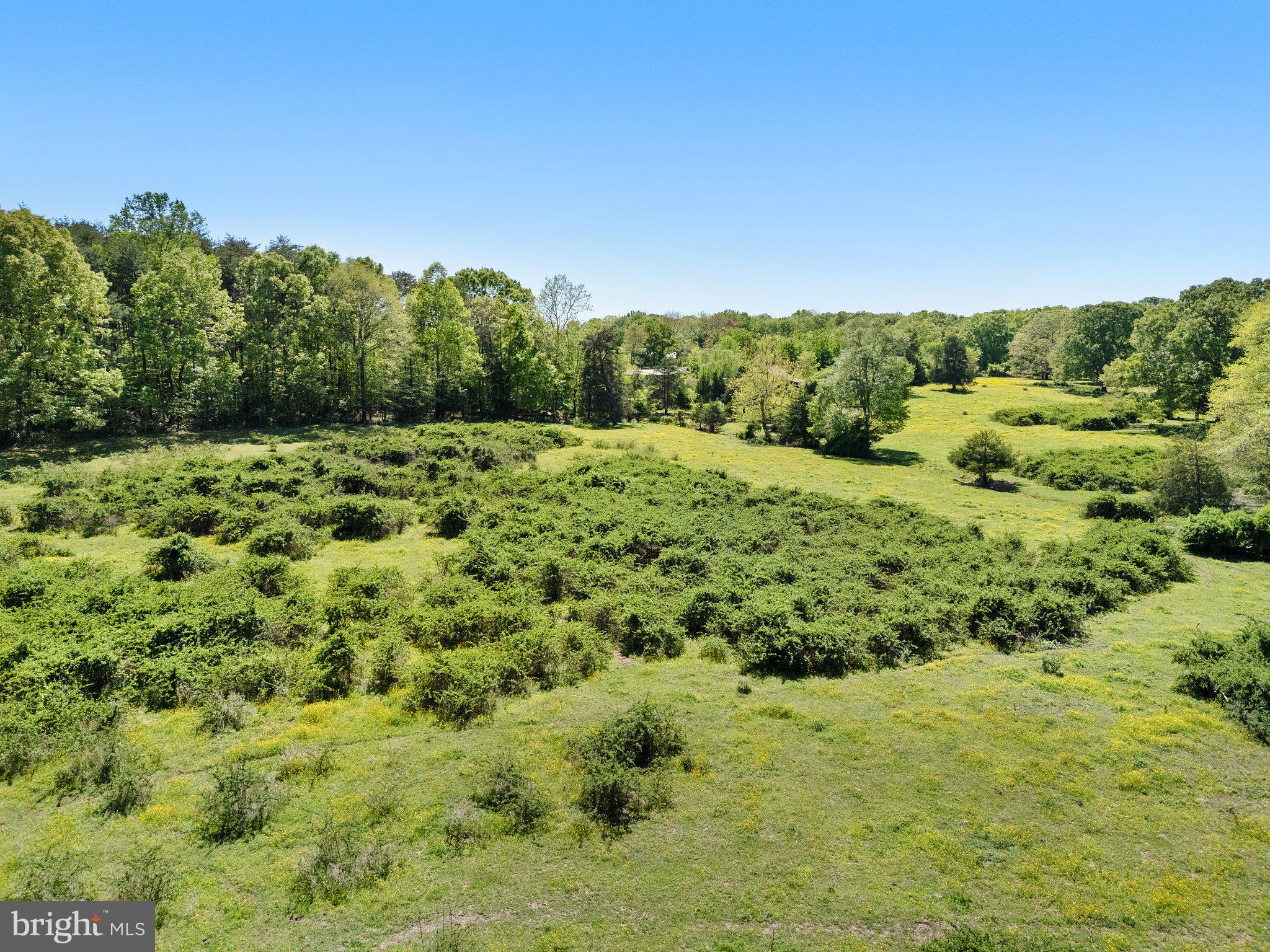 0 Elk Run Road Midland, VA 22728 - Photo 15 of 22 Gallery Image 15