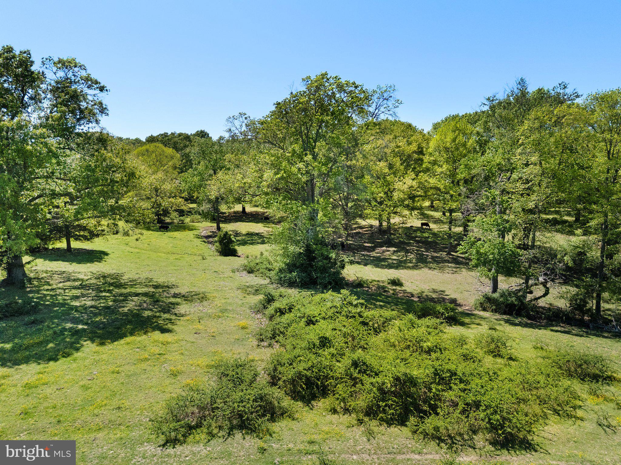 0 Elk Run Road Midland, VA 22728 - Photo 18 of 22 Gallery Image 18