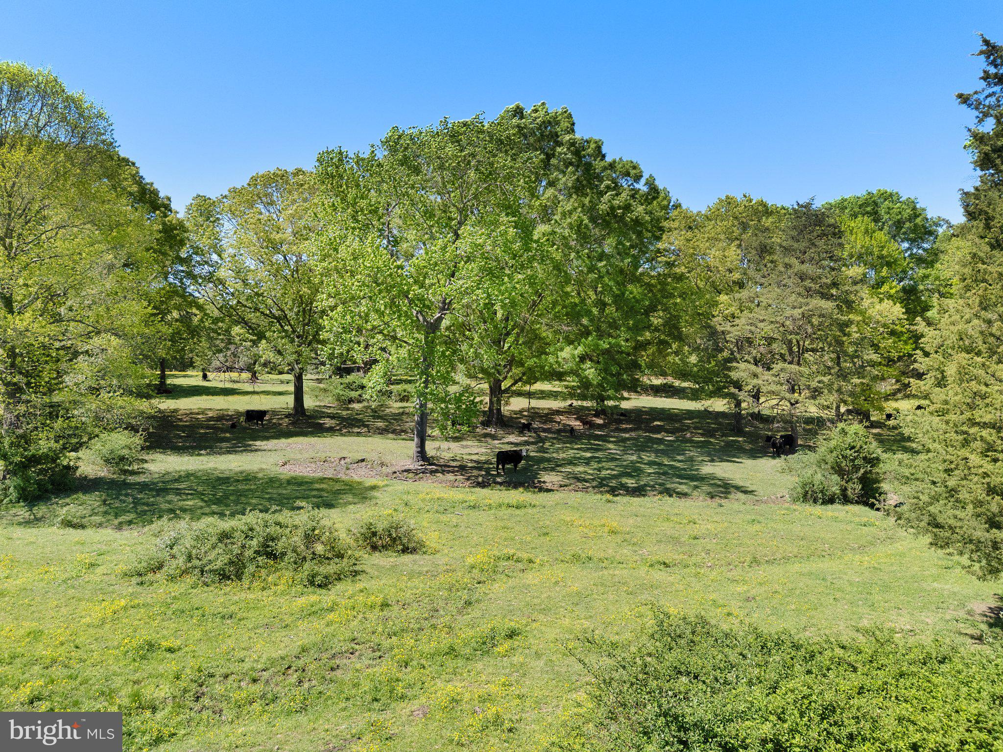 0 Elk Run Road Midland, VA 22728 - Photo 19 of 22 Gallery Image 19