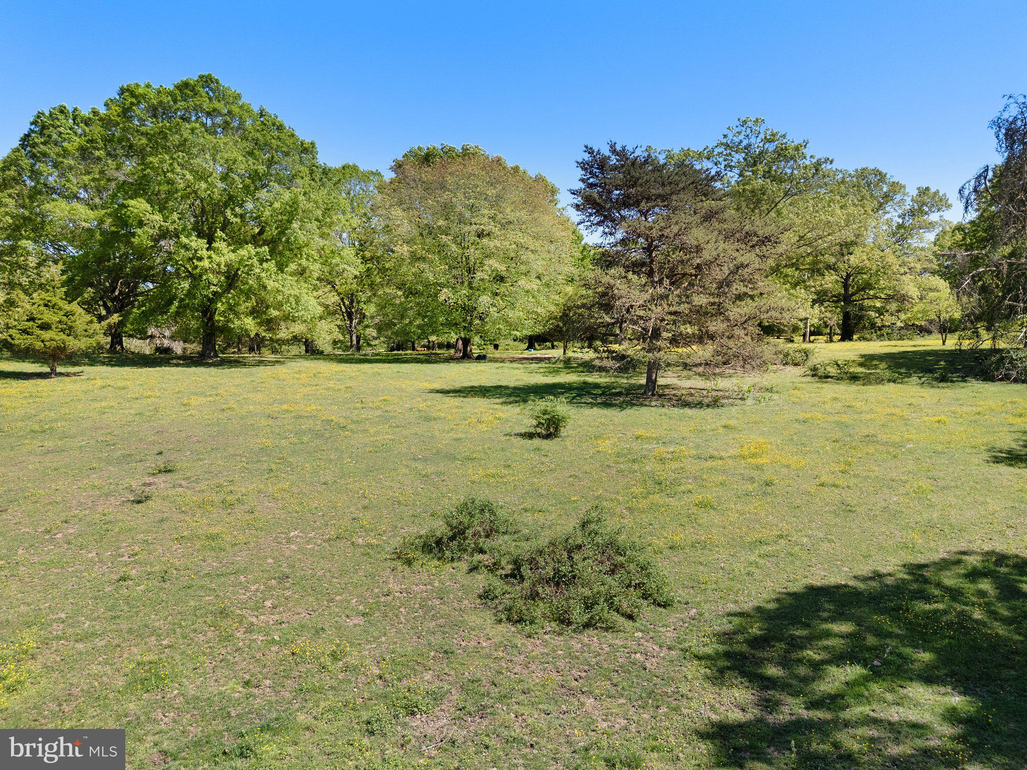 0 Elk Run Road Midland, VA 22728 - Photo 21 of 22 Gallery Image 21