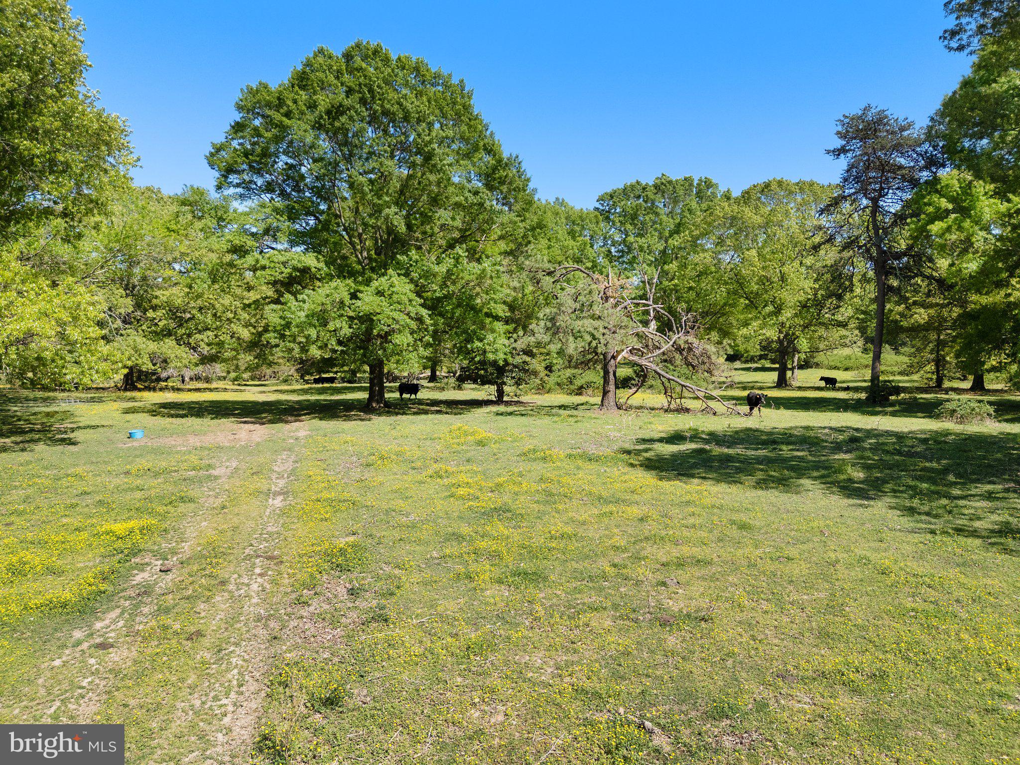 0 Elk Run Road Midland, VA 22728 - Photo 22 of 22 Gallery Image 22