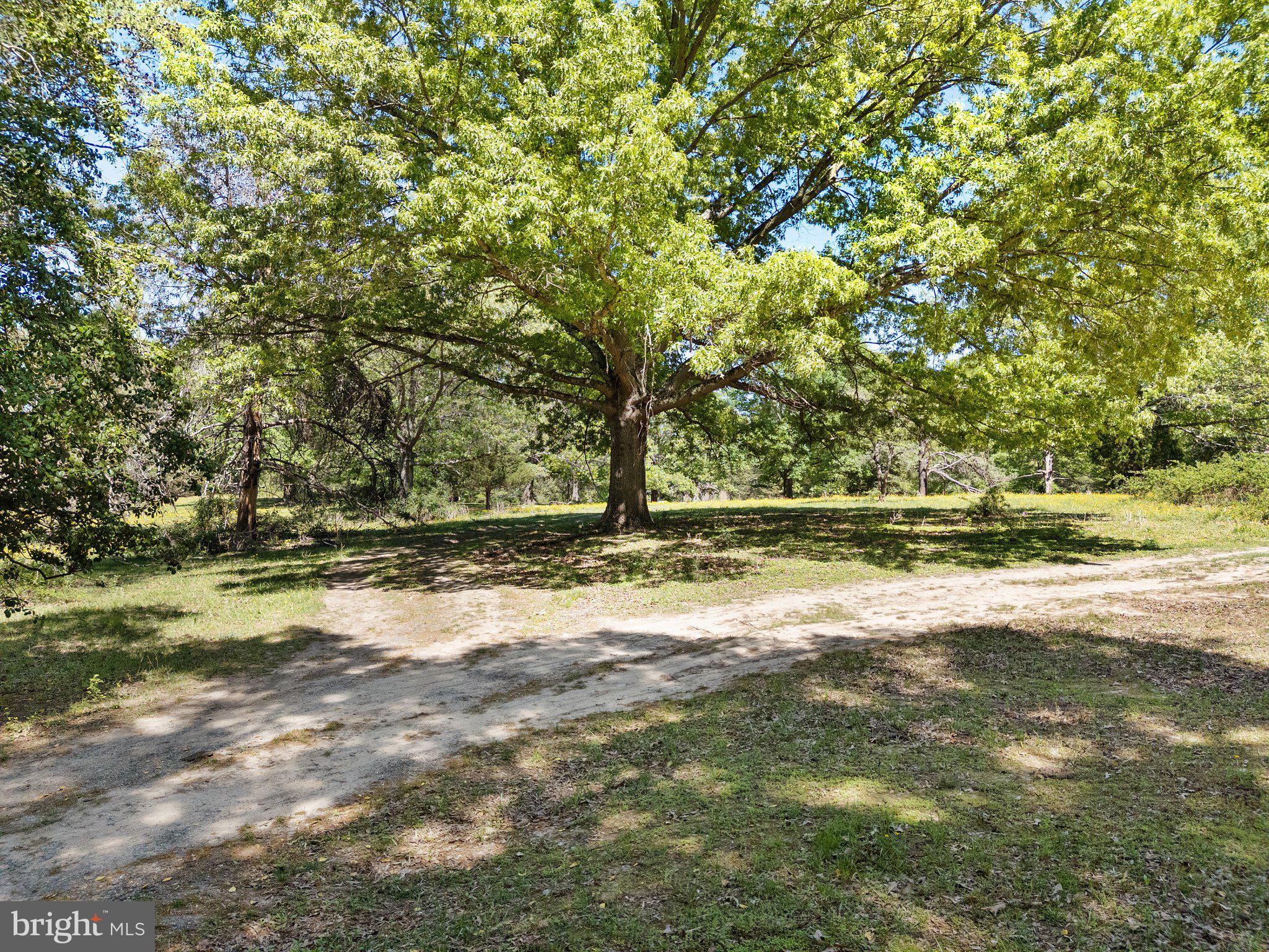 0 Elk Run Road Midland, VA 22728 - Photo 7 of 22 Gallery Image 7
