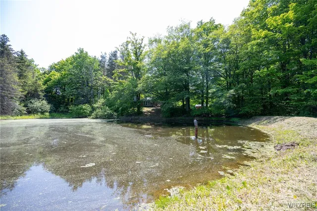 $315,000 | 2491 Wethersfield Road, Java, NY 14113