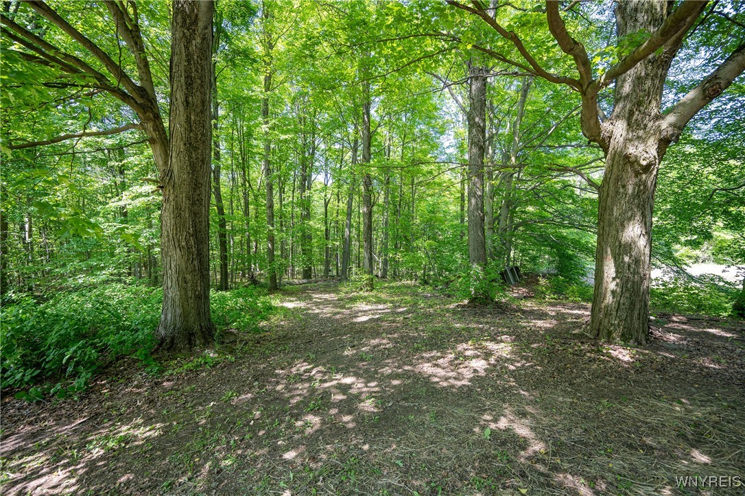 2491 Wethersfield Road Java, NY 14113 - Photo 45 of 45