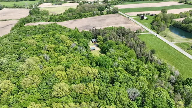 $315,000 | 2491 Wethersfield Road, Java, NY 14113