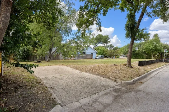 a view of a yard with plants and trees