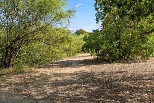 a view of road with large trees