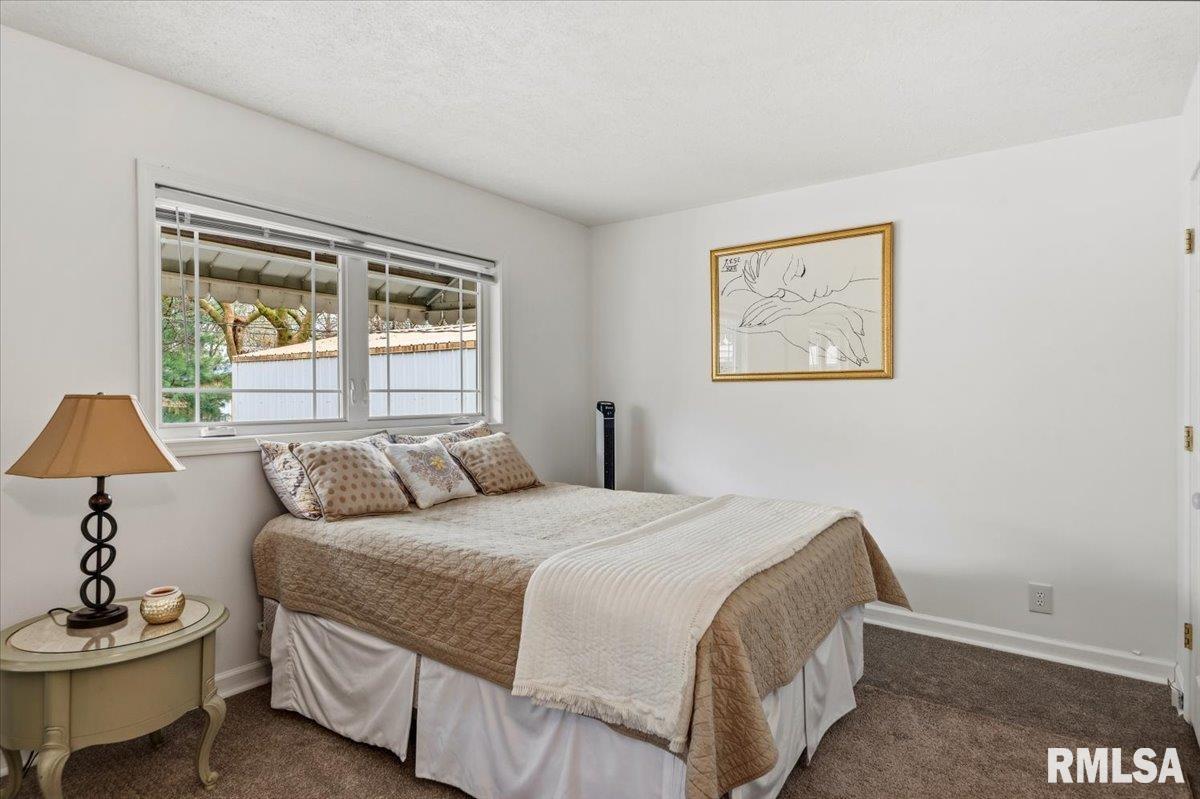 2501 South College Street Springfield, IL 62704 - Photo 8 of 19