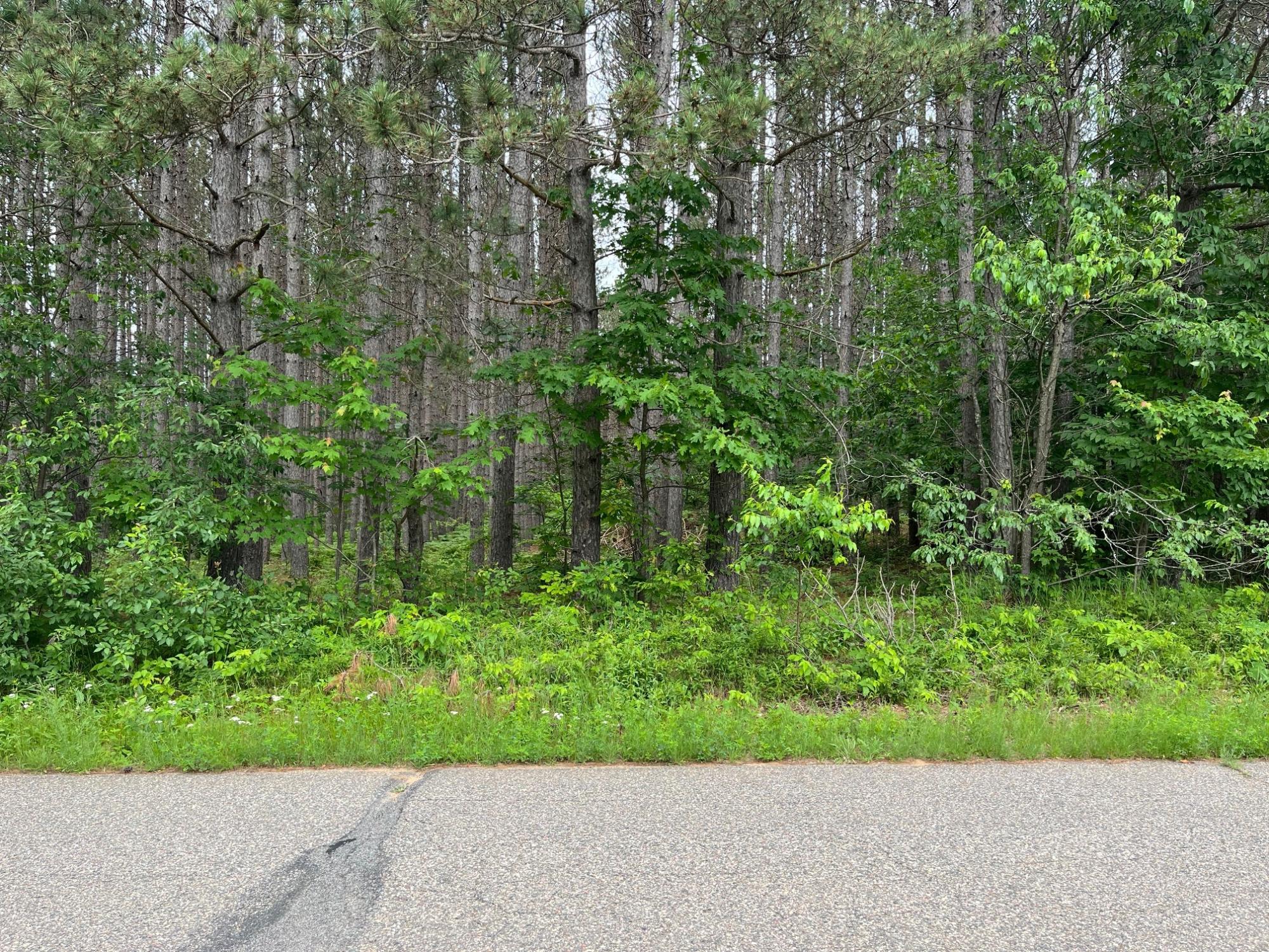 On Knowles Creek Road Wabeno, WI 54566 - Photo 1 of 5 Gallery Image 1