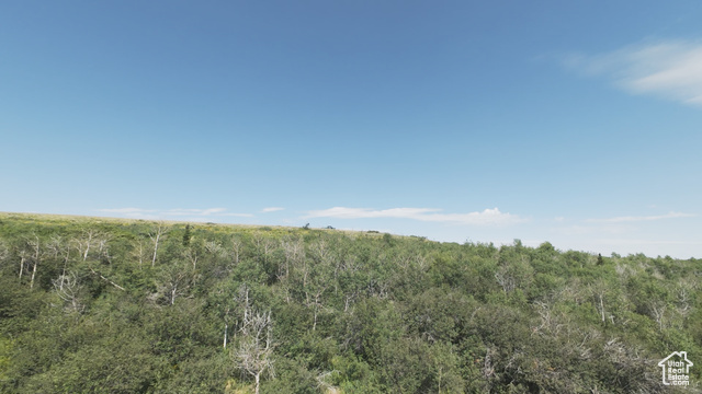 10 Stauffer Canyon Road Montpelier, ID 83254 - Photo 17 of 50 View of nature