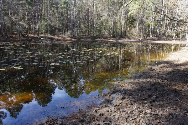 a view of lake with trees