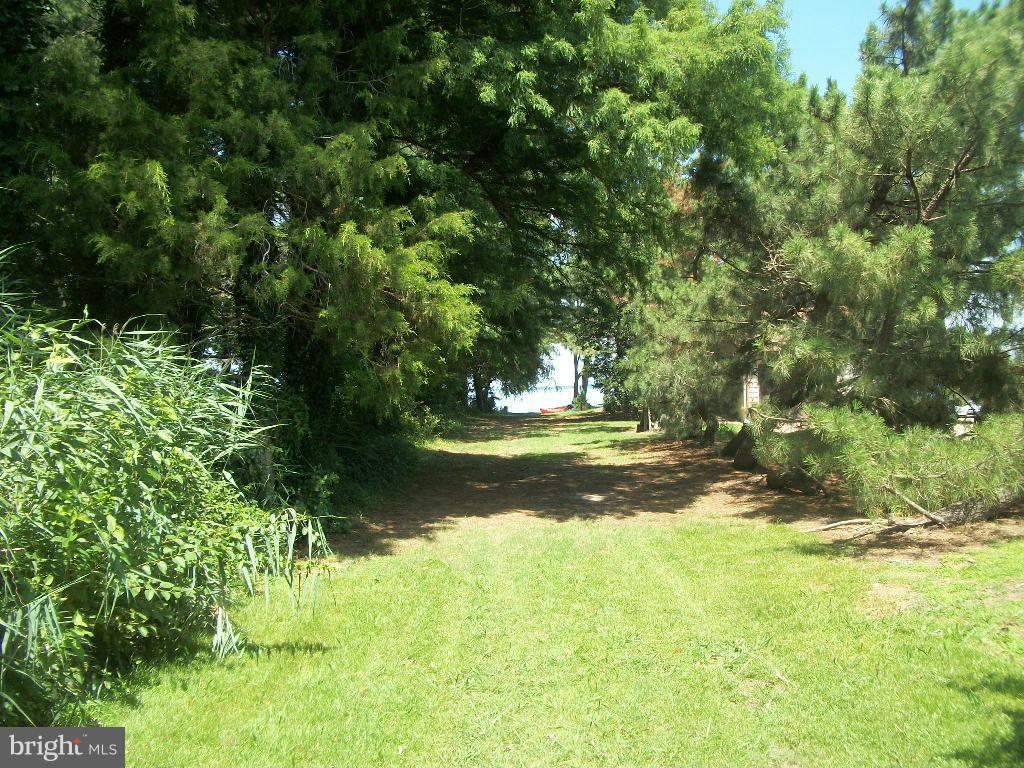 4 Sandy Acres Road Cambridge, MD 21613 - Photo 12 of 29 Community