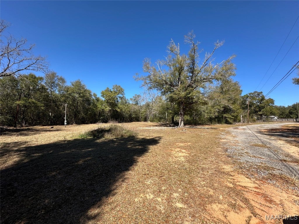 290 Balcom Road Ozark, AL 36360 - Photo 3 of 7 Gallery Image 3
