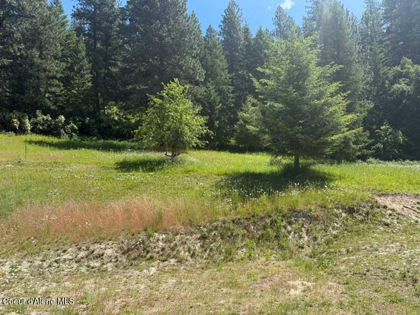 6855 B Cemetery Road Bonners Ferry, ID 83805 - Photo 16 of 24 grnd1