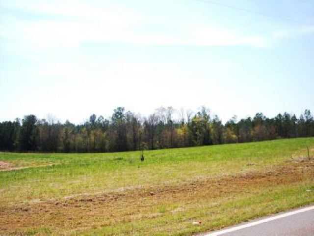 0 Montpelier Road, Unit LOT 3 Forsyth, GA 31029 - Photo 1 of 1 a view of a field with a yard