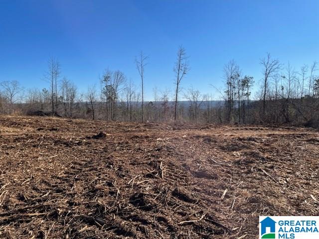 815 County Road, Unit 3 5 Wedowee, AL 36278 - Photo 1 of 4