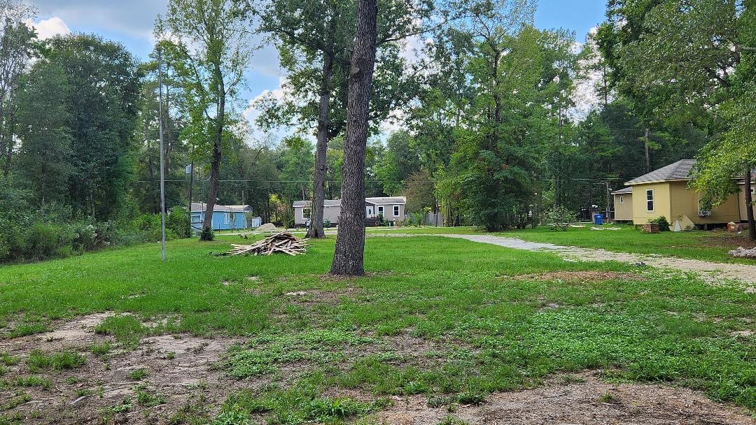 26835 Long Street Splendora, TX 77372 - Photo 12 of 16 a view of a house with backyard and a slide