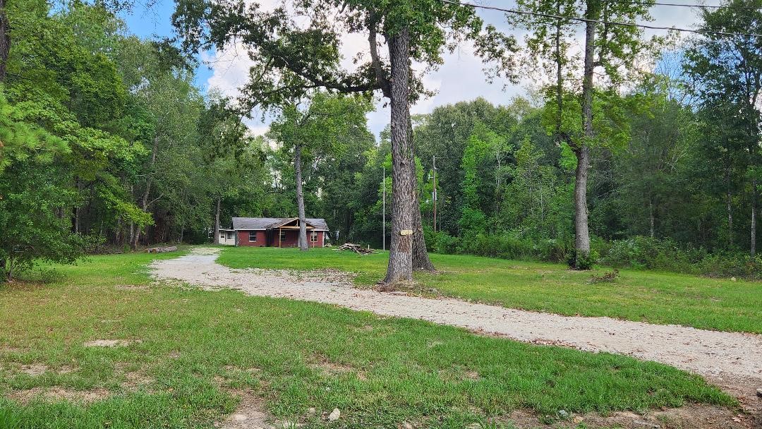 26835 Long Street Splendora, TX 77372 - Photo 6 of 16 a wooden bench sitting in the grass near a forest