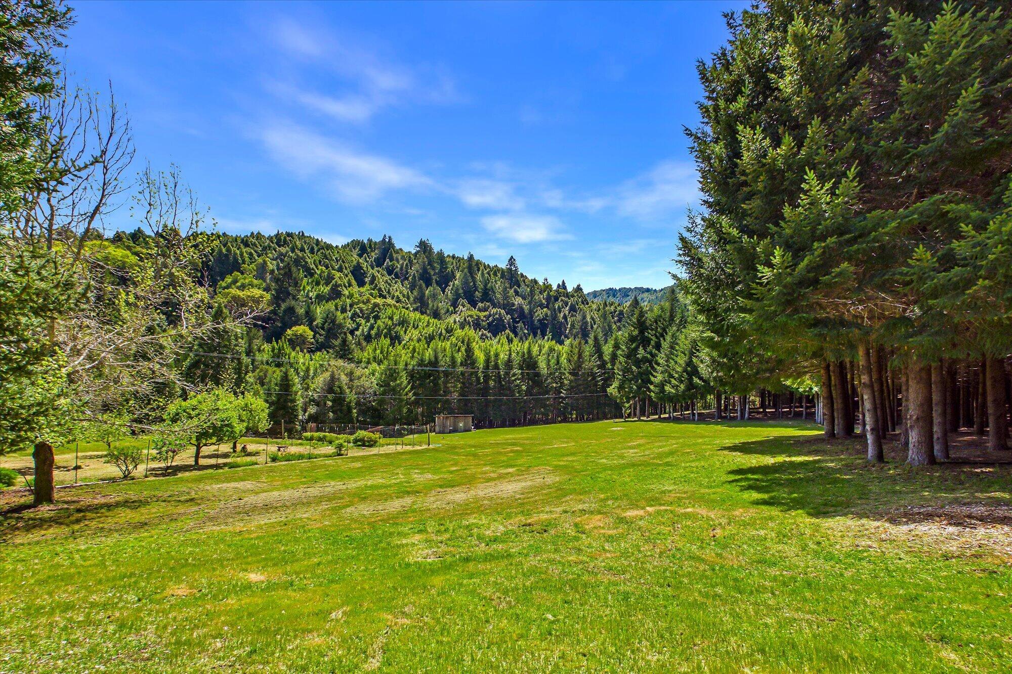 303 Hungry Gulch Road Whitethorn, CA 95589 - Photo 54 of 58