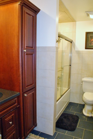 321 Cayuga Avenue Elmhurst, IL 60126 - Photo 18 of 21